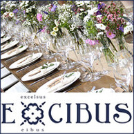 EXCIBUS