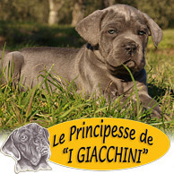 LE PRINCIPESSE DE 'I GIACCHINI'